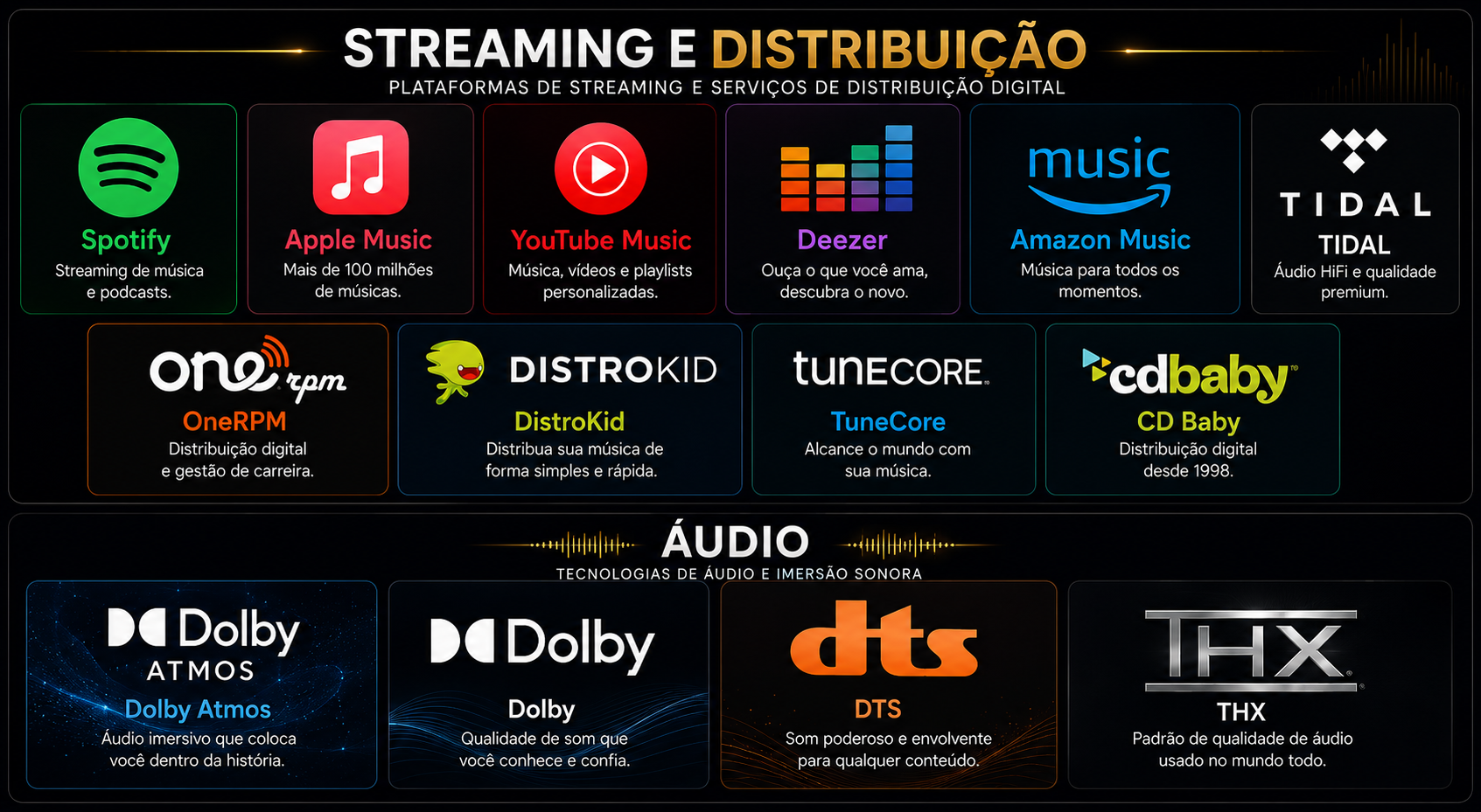 Plataformas de streaming e serviços de distribuição digital
